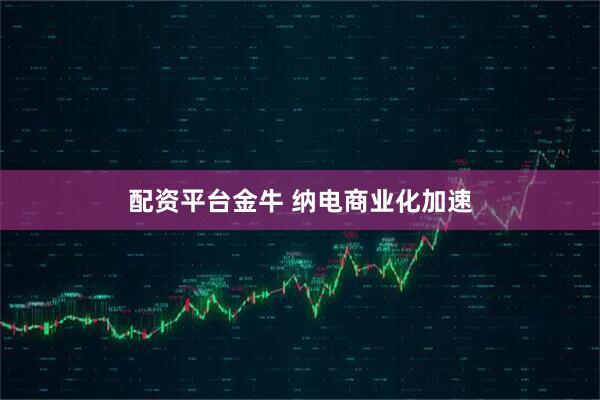 配资平台金牛 纳电商业化加速
