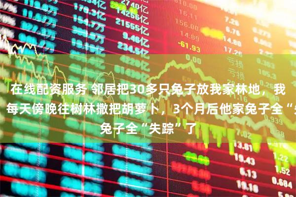 在线配资服务 邻居把30多只兔子放我家林地，我没理论，每天傍晚往树林撒把胡萝卜，3个月后他家兔子全“失踪”了