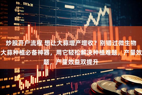 炒股开户流程 想让大蒜增产增收？别错过微生物菌肥这个大蒜种植必备神器，用它轻松解决种植难题，产量效益双提升