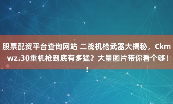 股票配资平台查询网站 二战机枪武器大揭秘，Ckm wz.30重机枪到底有多猛？大量图片带你看个够！